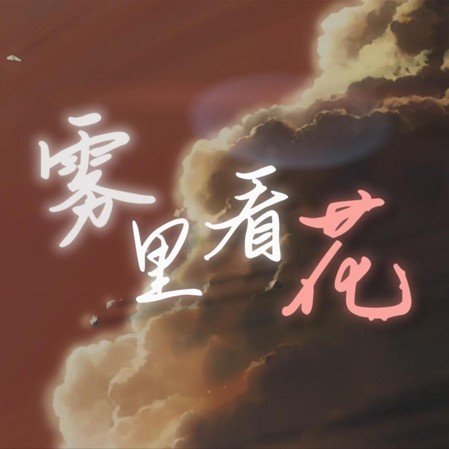 雾里看花封面