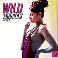 Wild Midnight, Vol. 2