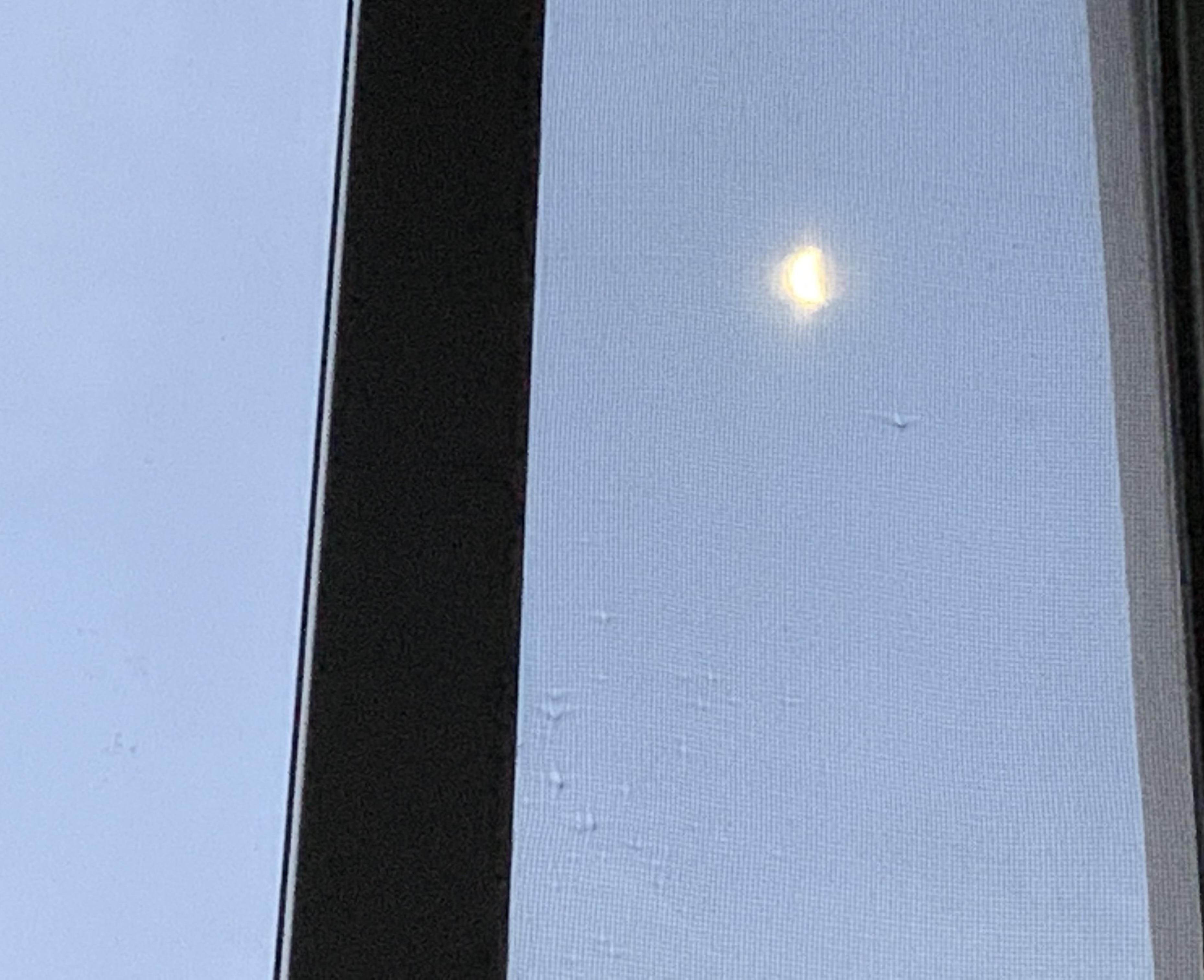 刘思敏