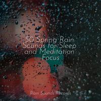 50 Spring Rain Sounds for Sleep and Meditation Focus