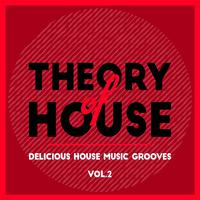 Theory of House (Delicious House Music Grooves), Vol. 2