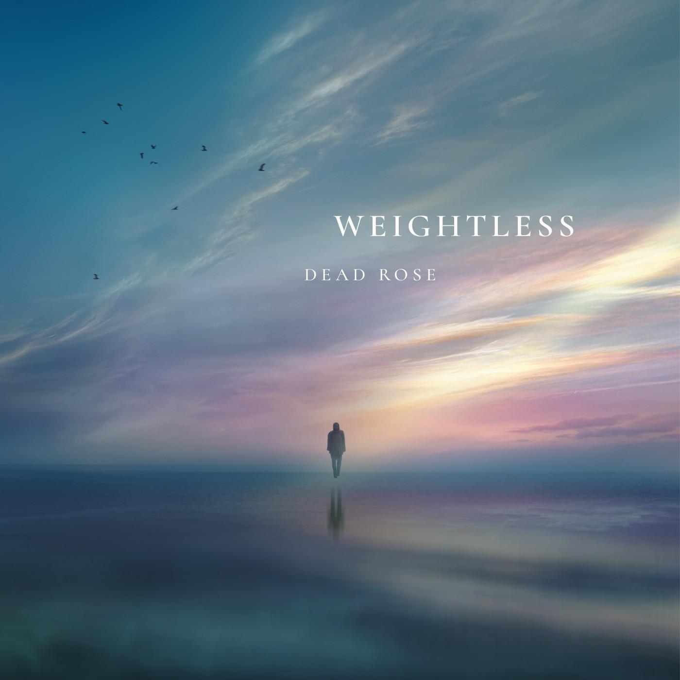 Weightless_Dead Rose_Weightless | 在线播放_Weightless歌词_Weightless下载 | 网易云音乐