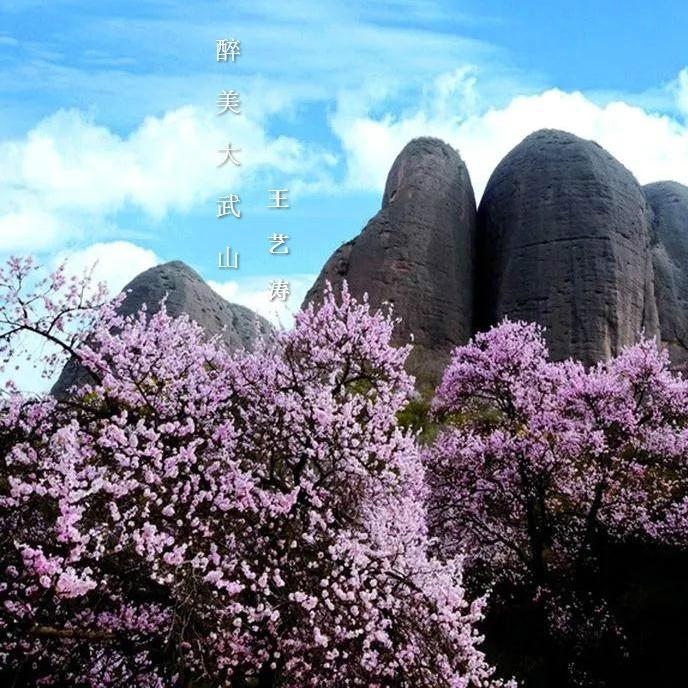 醉美大武山封面