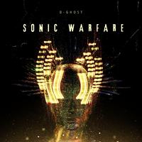 Sonic Warfare