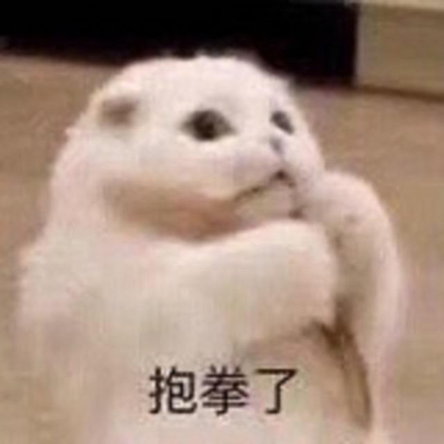 冬眠 - 31封面