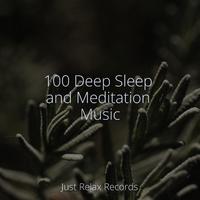 100 Deep Sleep and Meditation Music