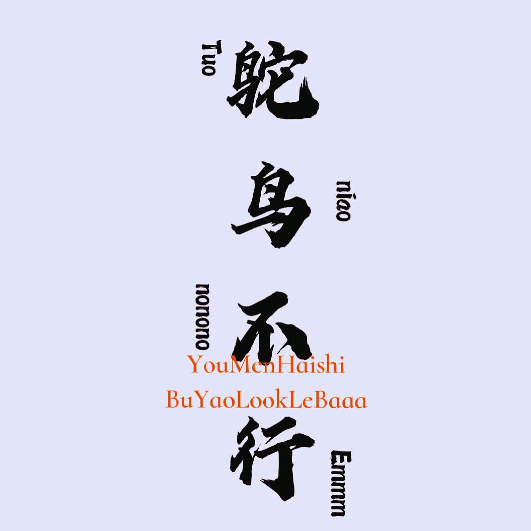 天生反骨的鸵鸟（cover毛毛不插电）