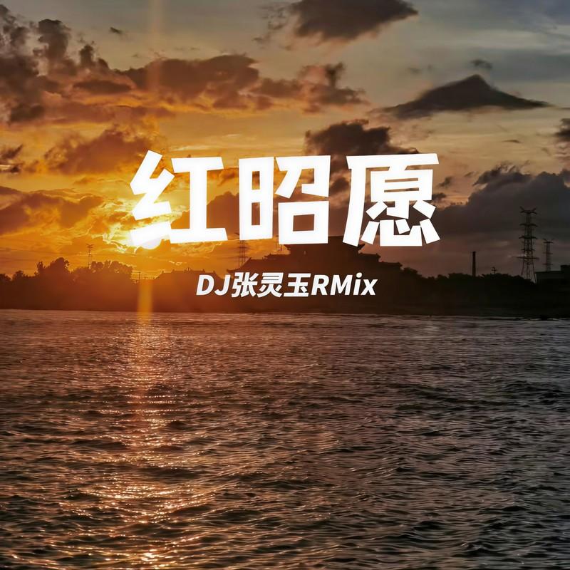 红昭愿(DJ版)封面