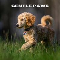 Gentle Paws