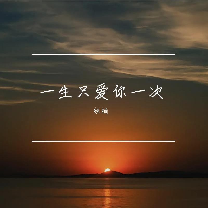 一生只爱你一次封面