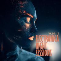 Electronica: Night Sessions, Vol. 16