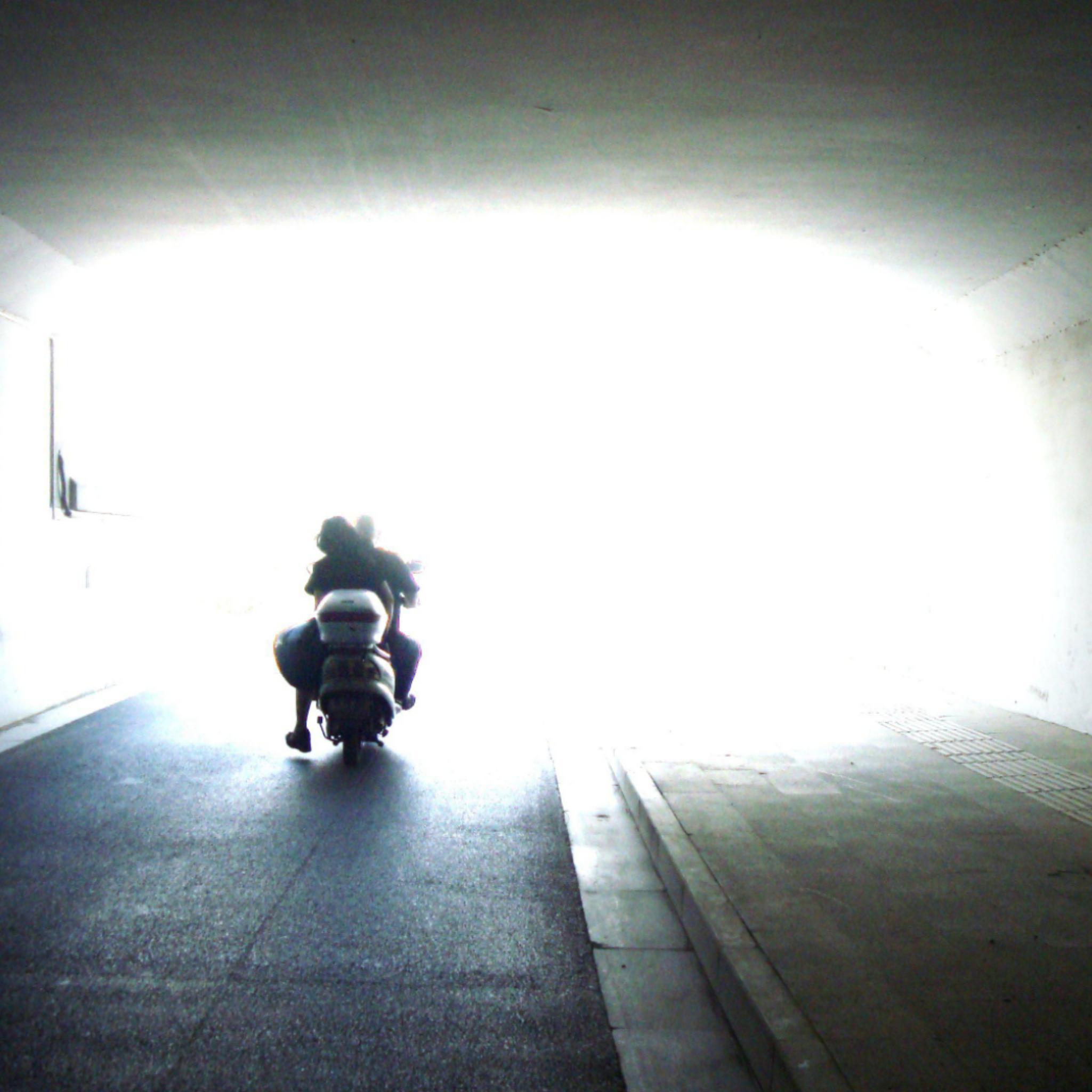 Polysyndrome (多综合征)