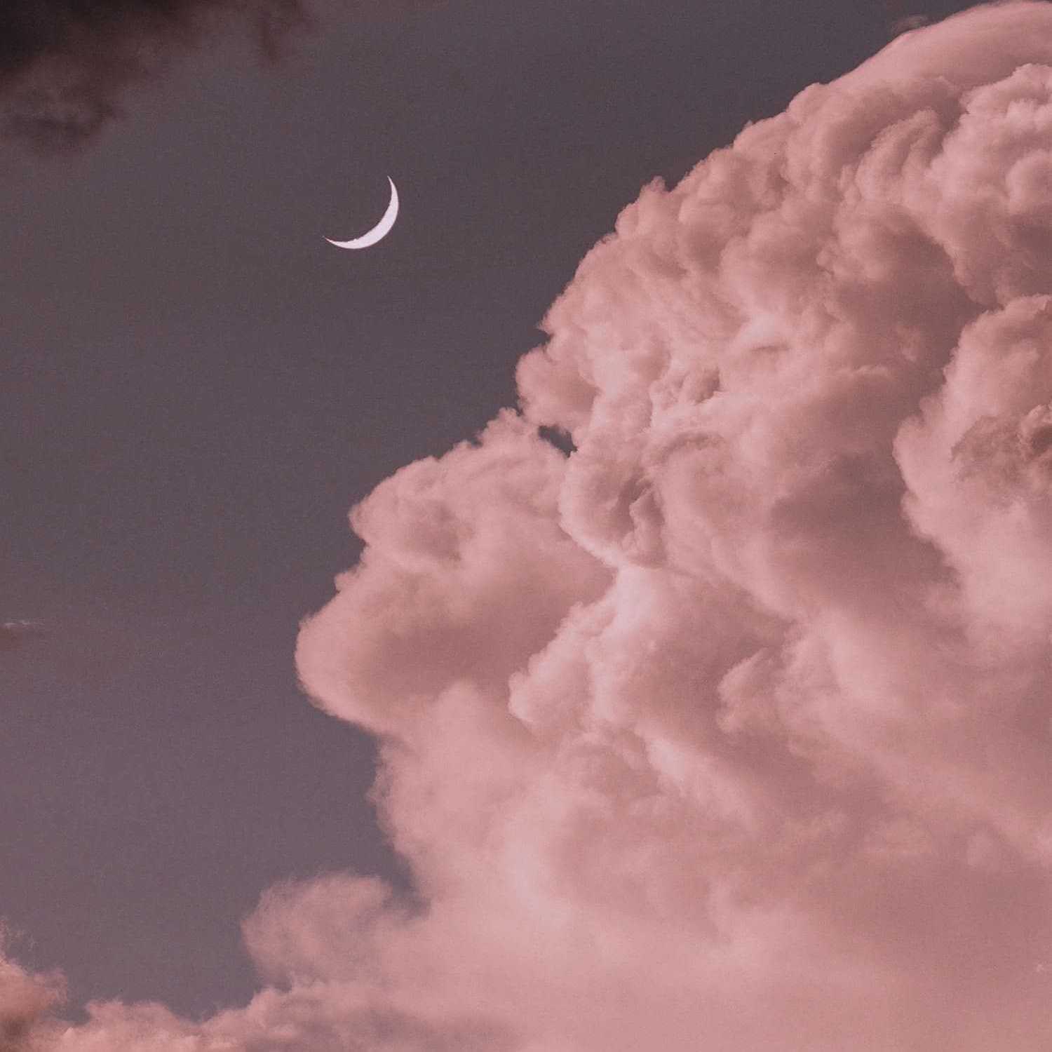 Don't wanna be(Prod by EVOMUSIC)