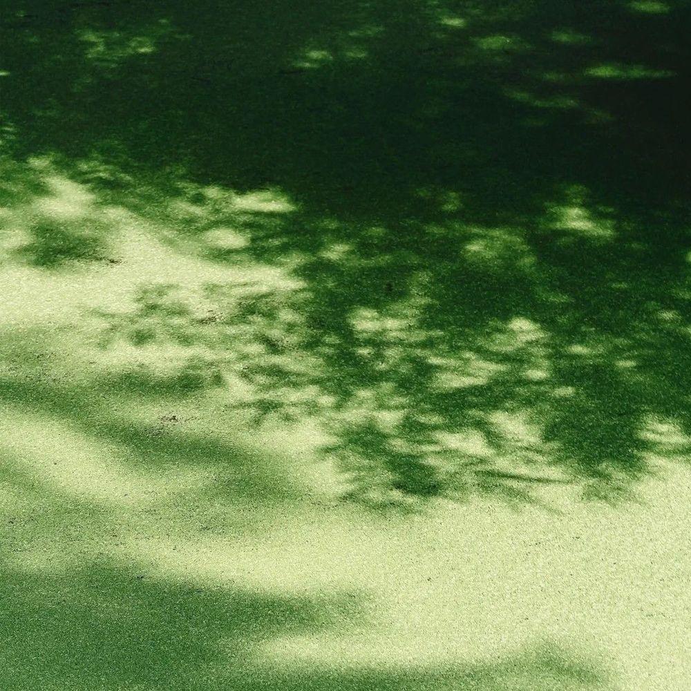 I Choose to Remember