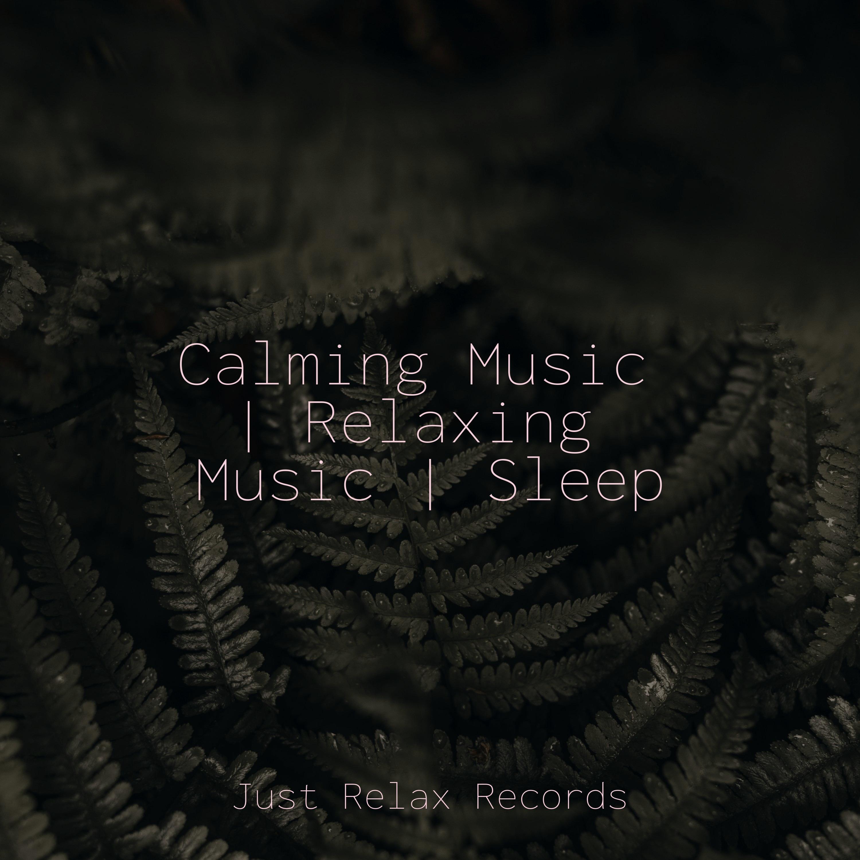 Echoes of Gray Memories