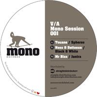 Mono Session 001