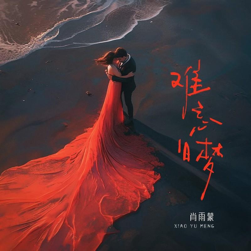 难忘旧梦 (Live合唱版)封面