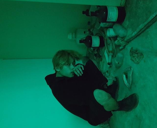 Dino.T