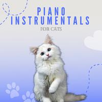 Piano Instrumentals for Cats