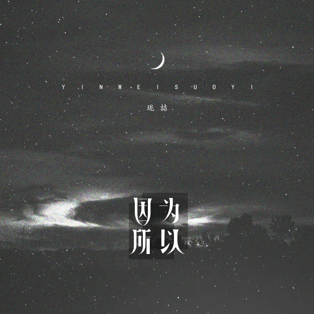 因为所以封面