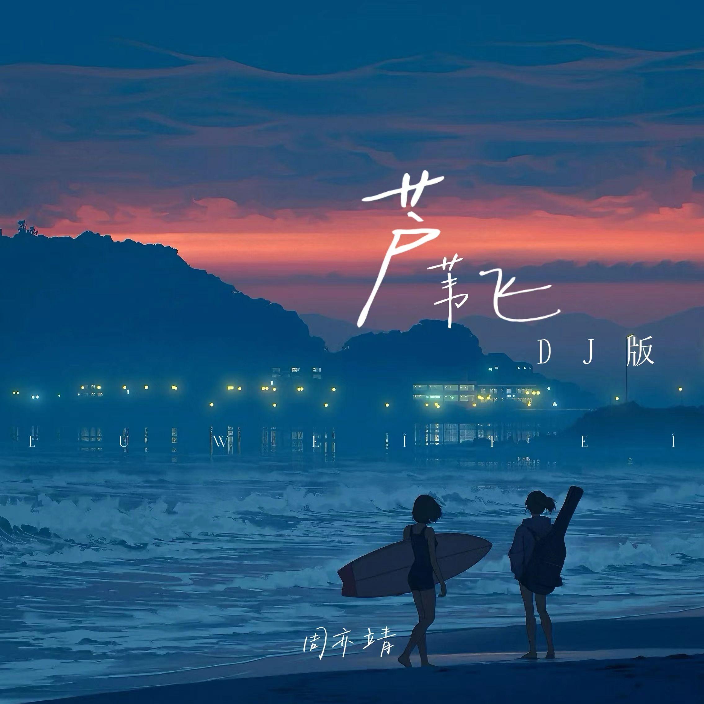 芦苇飞天涯(DJ版)封面