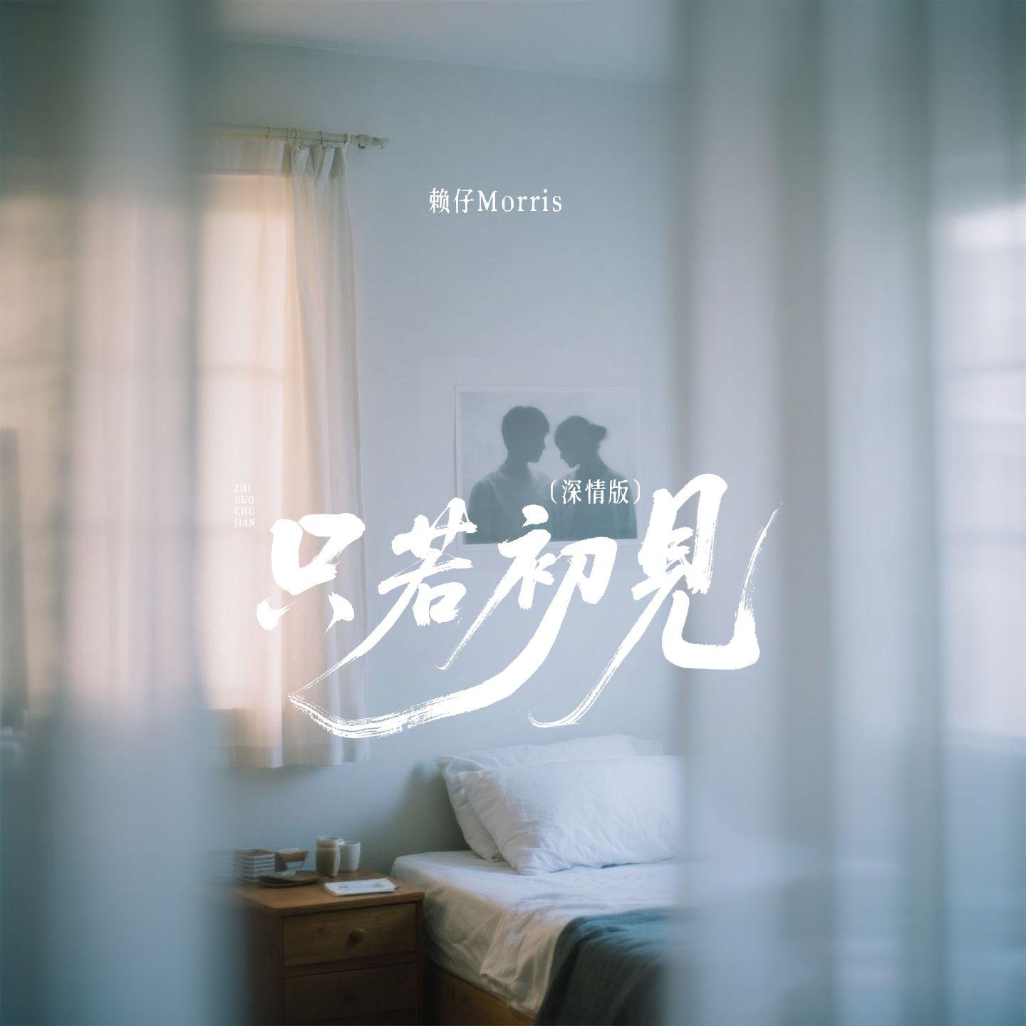只若初见(深情版)封面