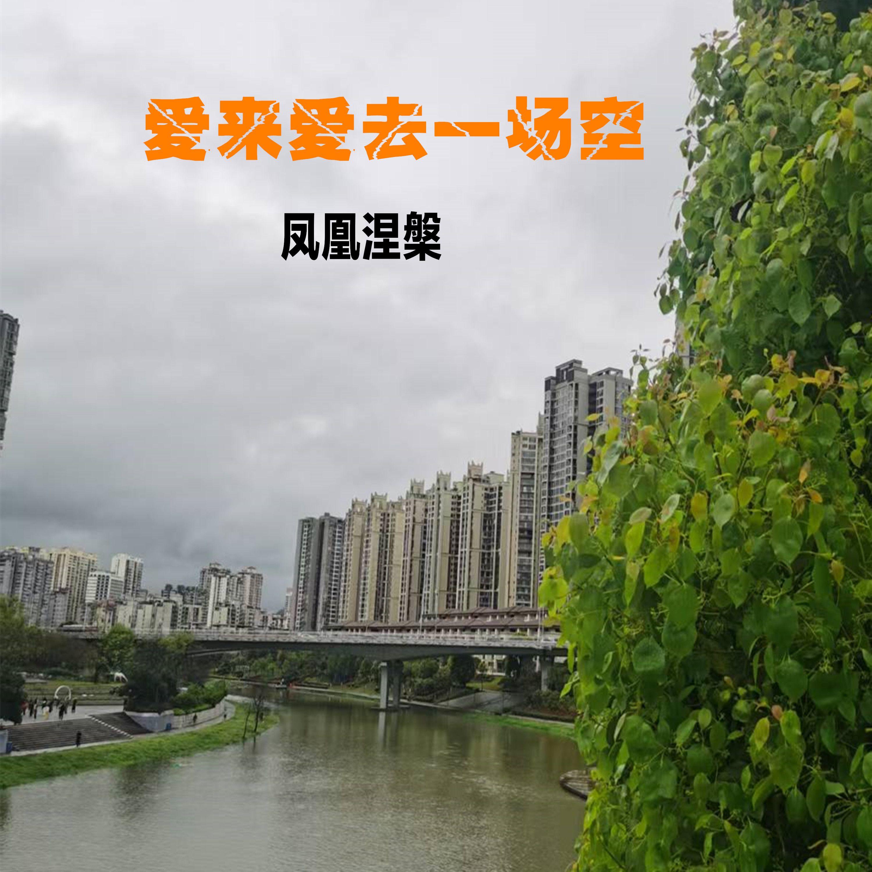爱来爱去一场空封面