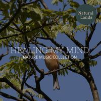 Healing My Mind - Nature Music Collection