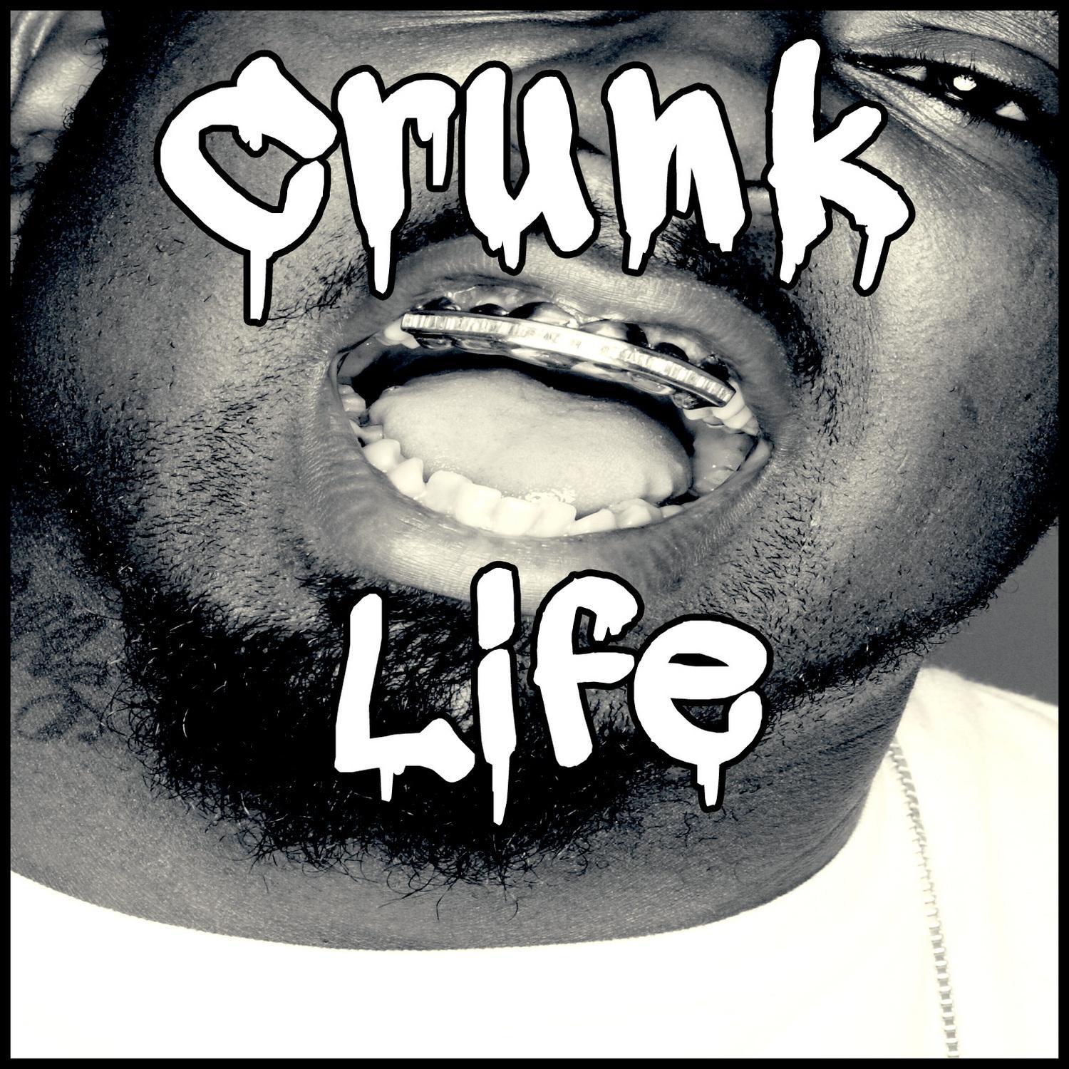 Crunk Life with Three 6 Mafia, Lil Wyte, Gangsta Boo, Pastor Troy, Juicy J,...