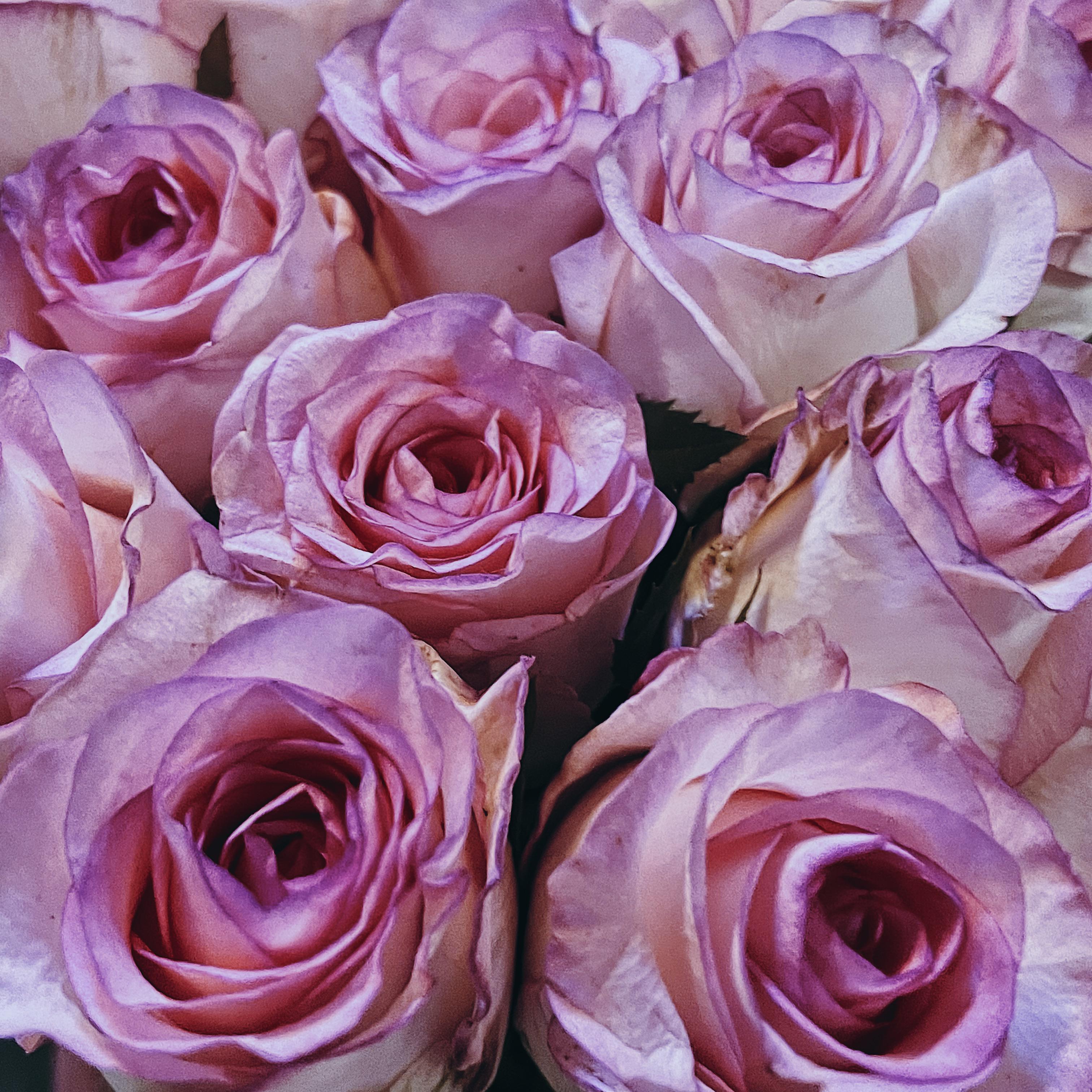 住我心里边prod. Furyl, 4_Chords.