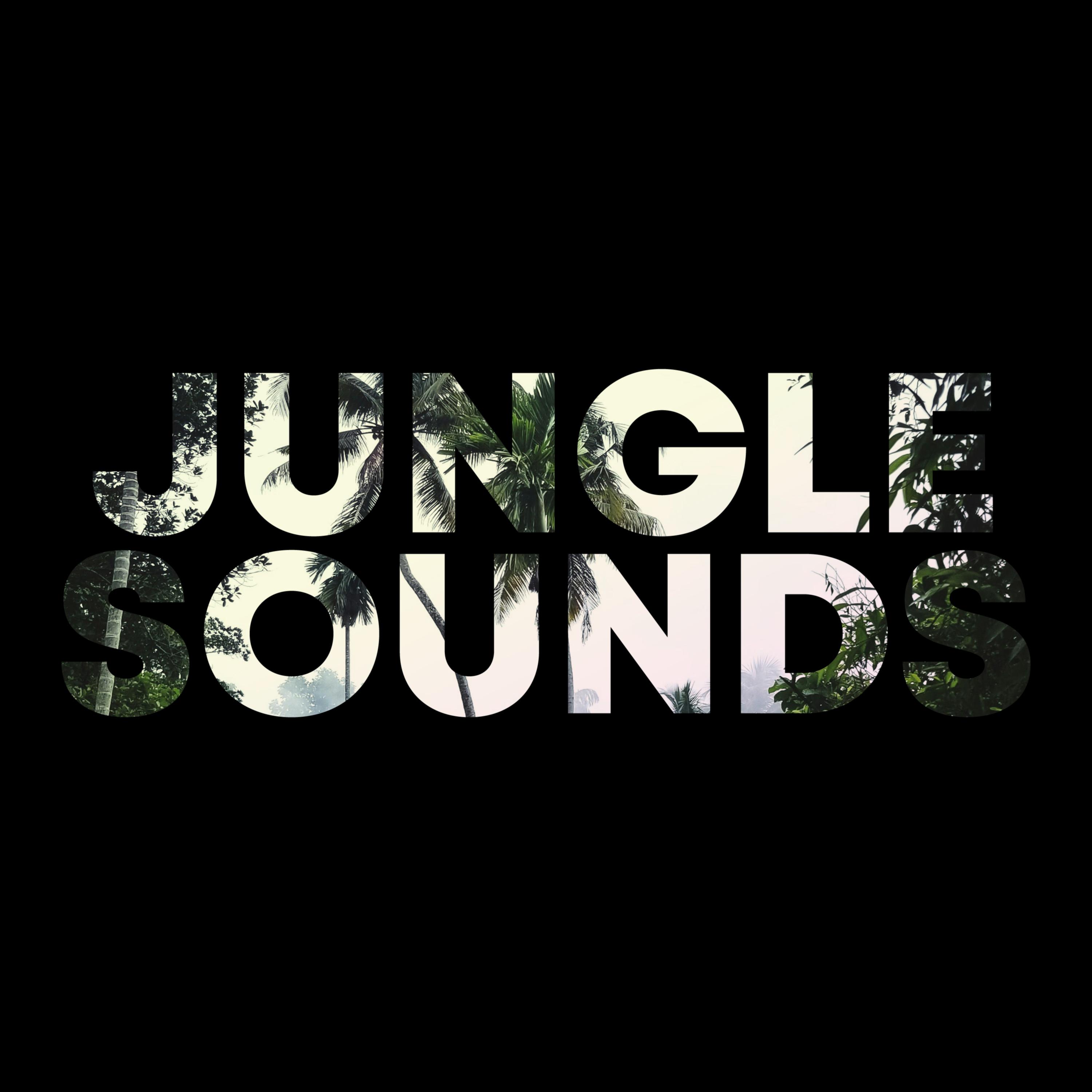 River_ASMR_Jungle Sounds | 在线播放_River歌词_River下载 | 网易云音乐