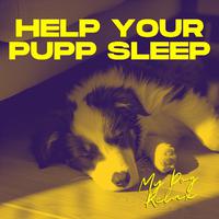 Help Your Pupp Sleep