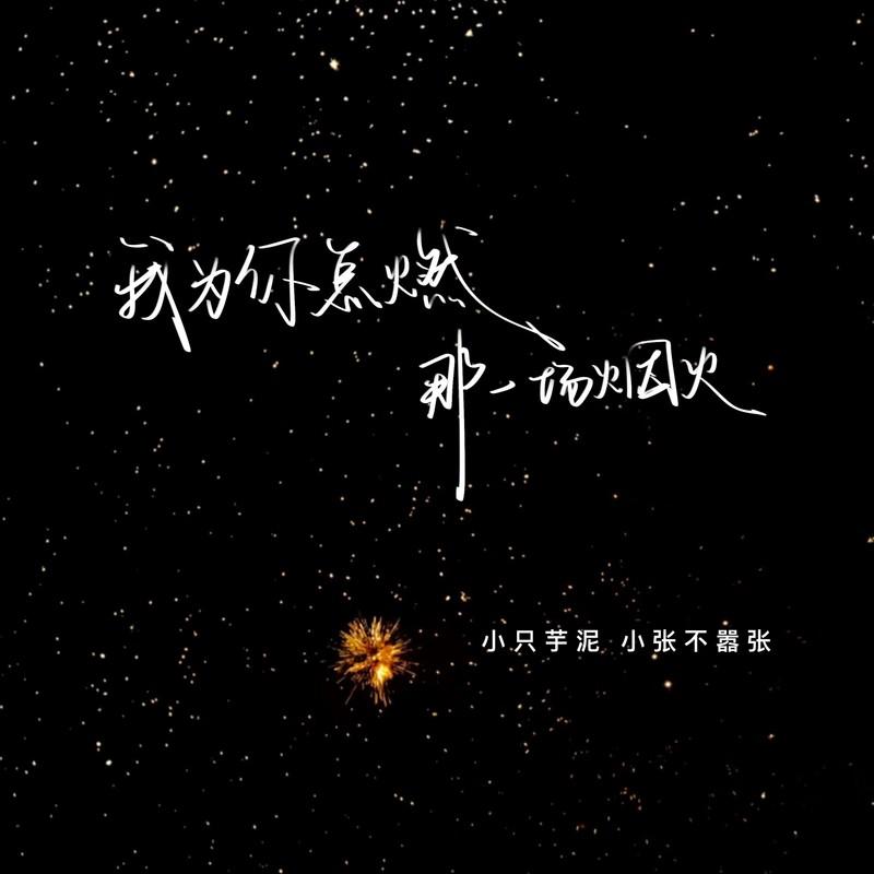 我为你点燃那一场烟火 (emo版)