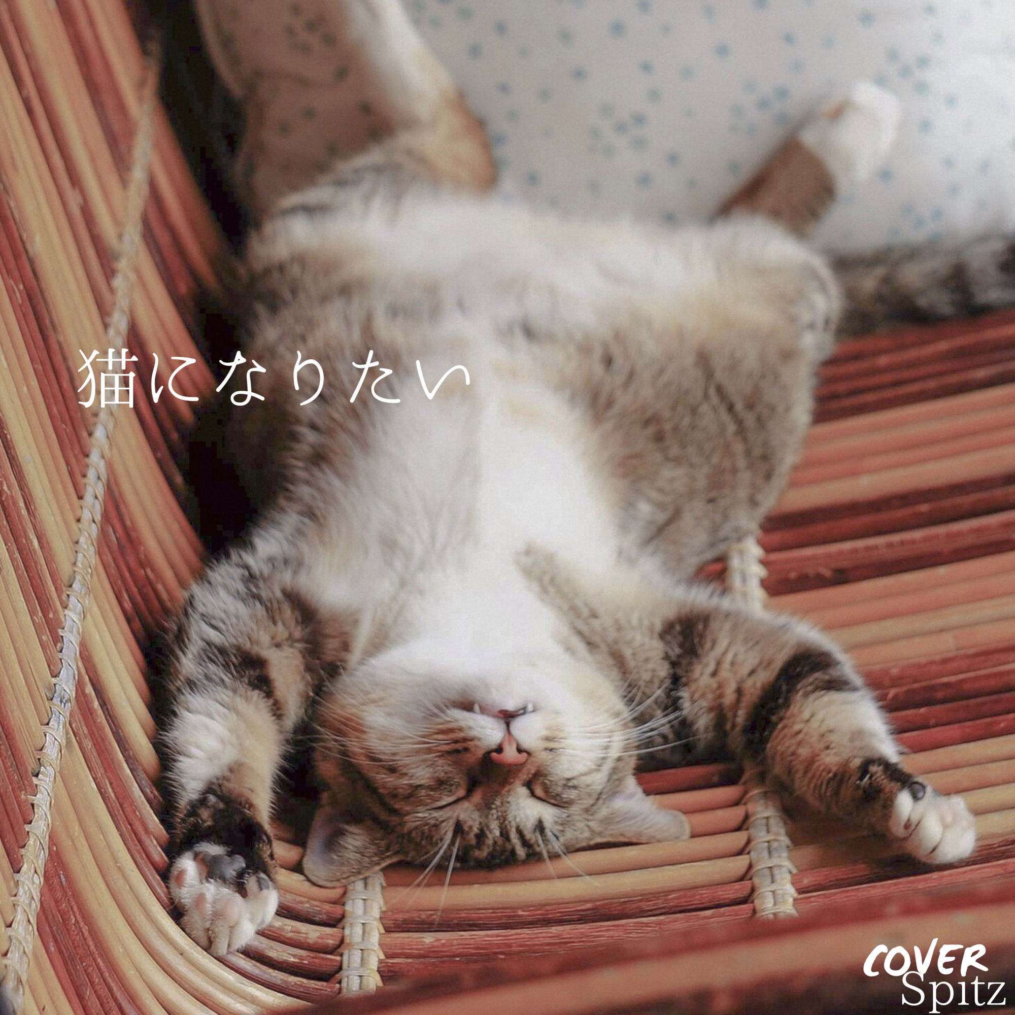 猫になりたい封面