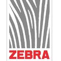 ZebraZebra