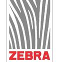 ZebraZebra