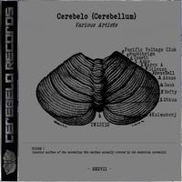 Cerebelo Records 2017