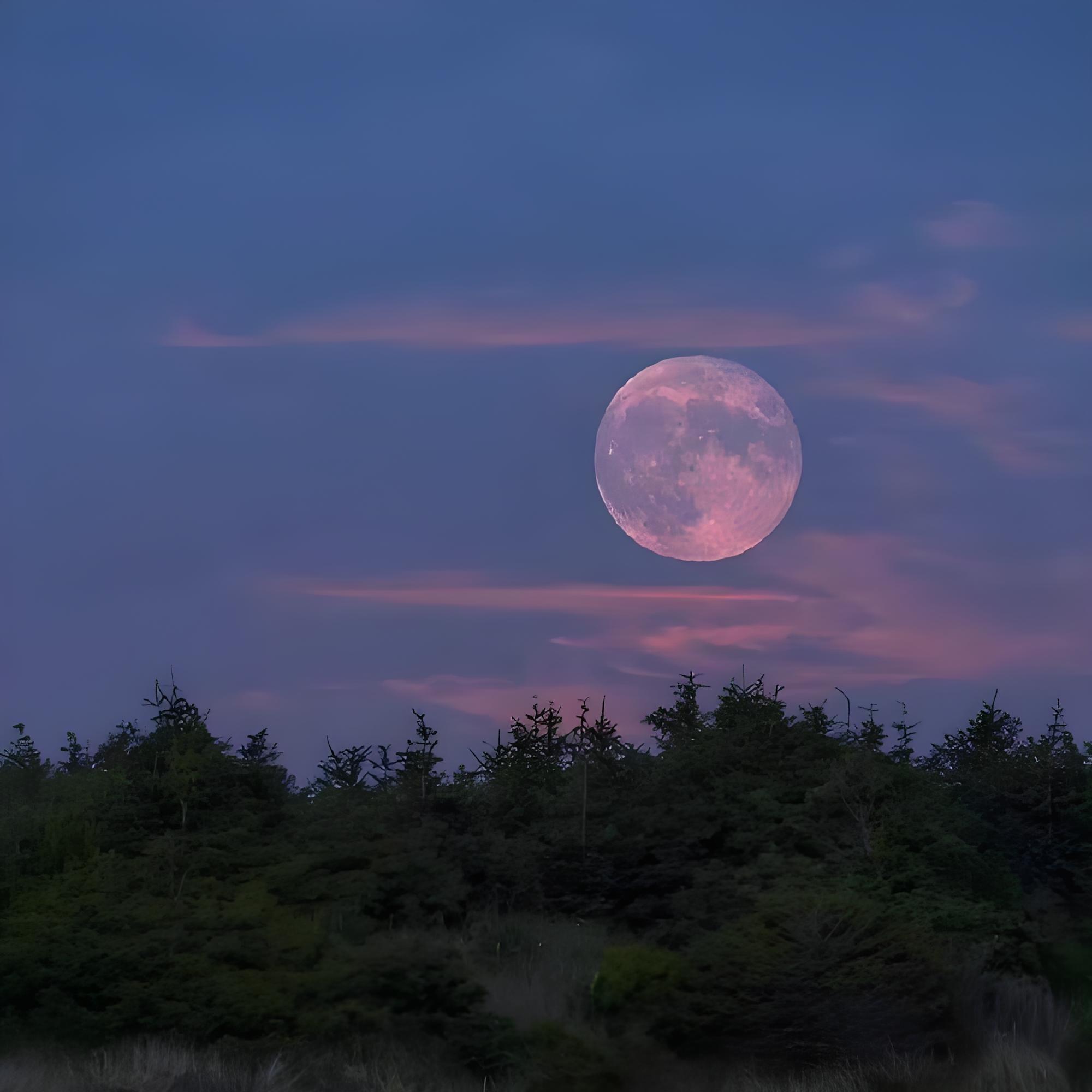 冲动的爱_刘梓炎_冲动的爱 | 在线播放_冲动的爱歌词_冲动的爱下载 | 网易云音乐