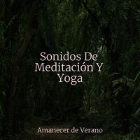 Sonidos De Meditación Y Yoga