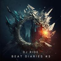 BEAT DIARIES #3