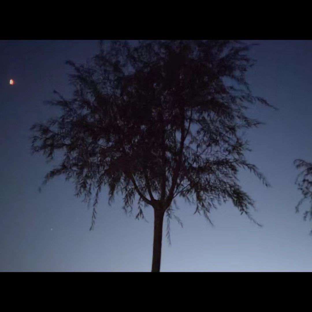 迷人的危险(片段)