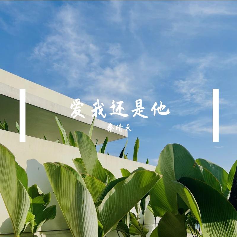 爱我还是他(降1key版)封面