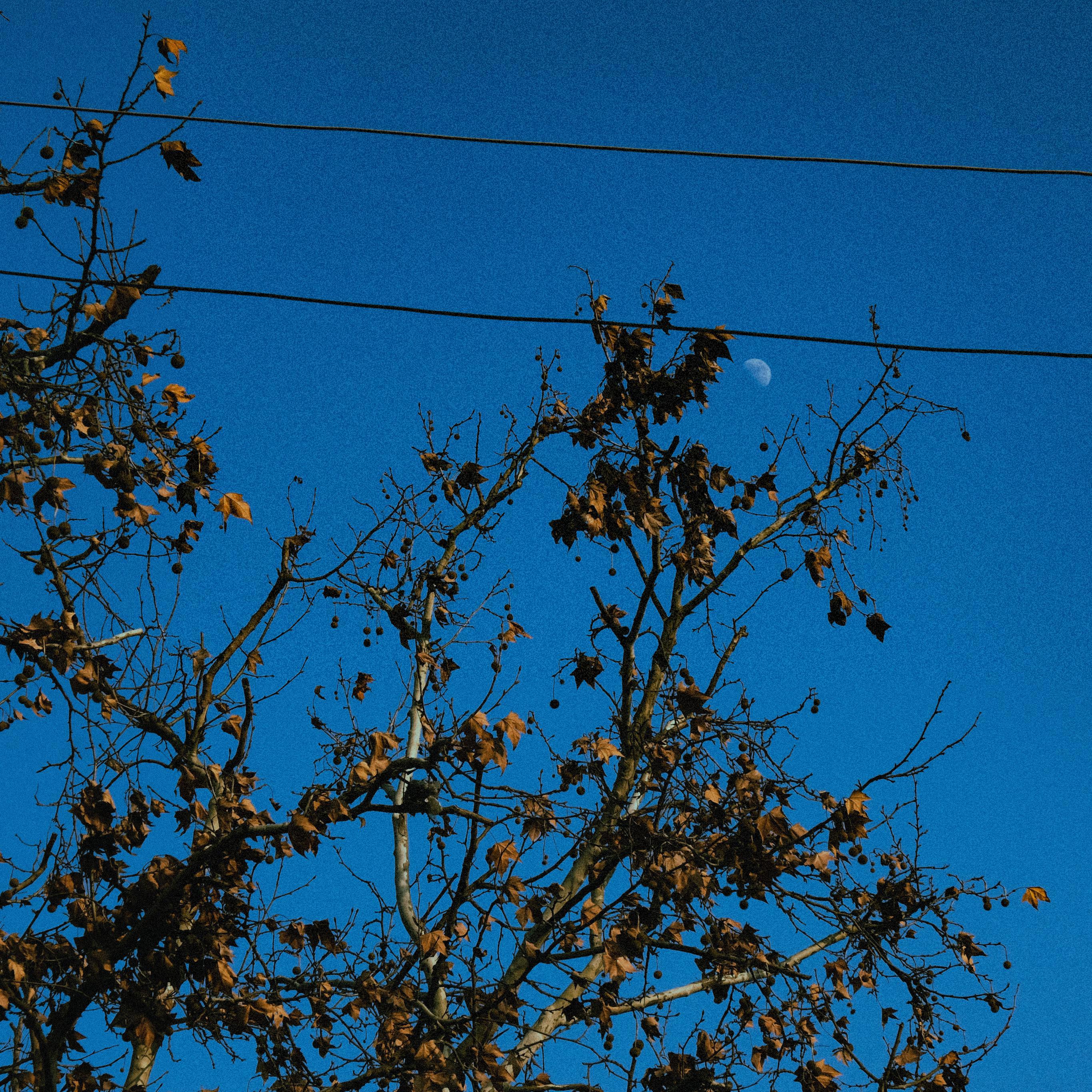 song-img