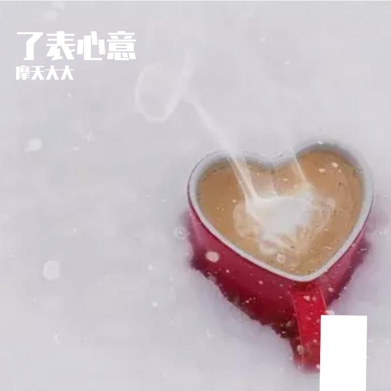 了表心意封面