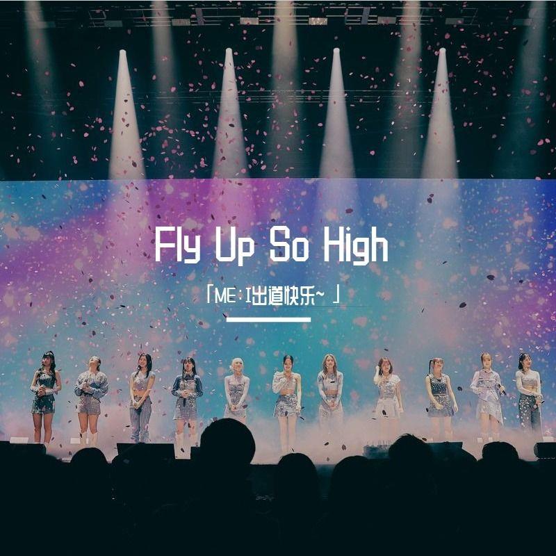 FLY UP SO HIGH