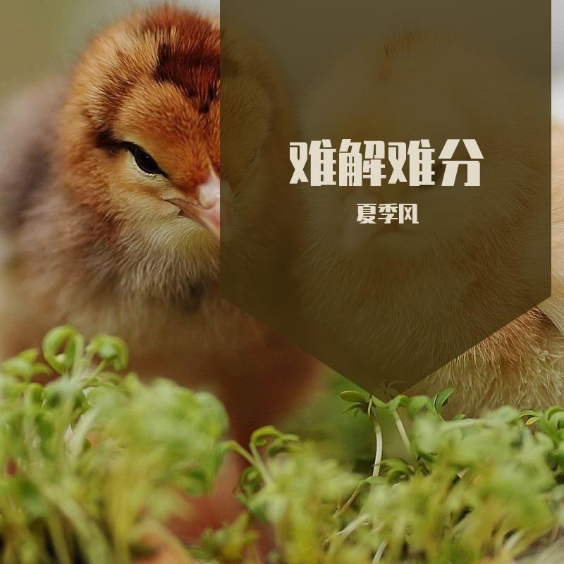 景客流按 - 夏季风封面