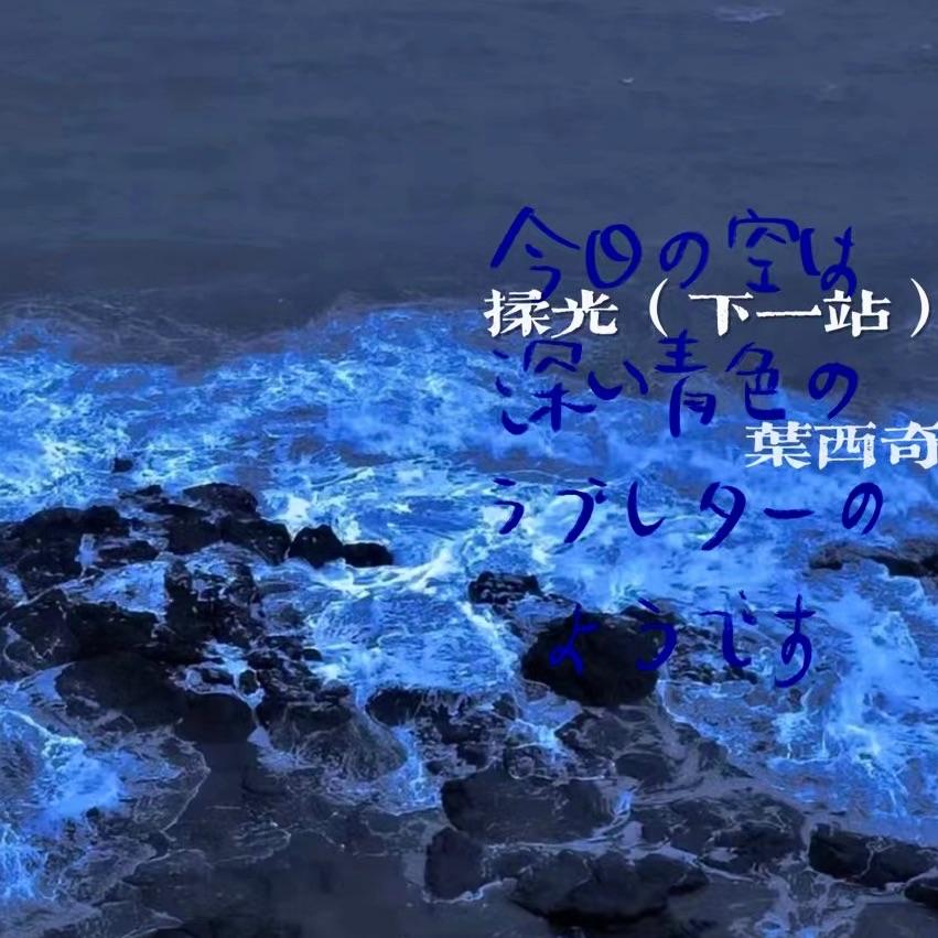 揉光(下一站 上岸)封面