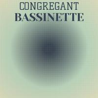 Congregant Bassinette