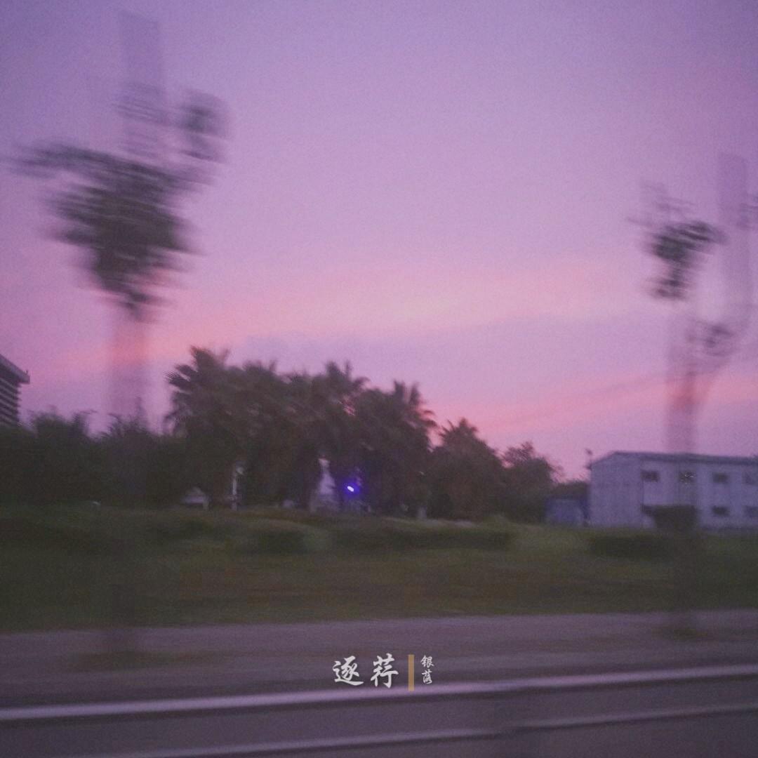 银落封面