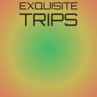 Exquisite Trips